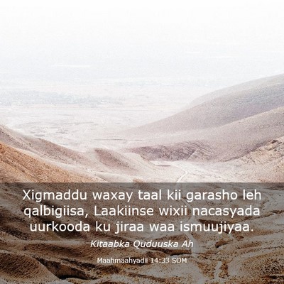 Picture 03 - Maahmaahyadii 14:33 SOM - Xigmaddu waxay taal kii garasho leh qalbigiisa, - Bible Verse Picture