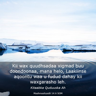 Picture 03 - Maahmaahyadii 14:6 SOM - Kii wax quudhsadaa xigmad buu doondoonaa, mana - Bible Verse Picture