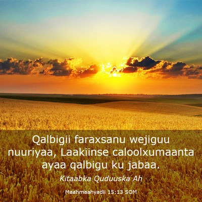 Picture 03 - Maahmaahyadii 15:13 SOM - Qalbigii faraxsanu wejiguu nuuriyaa, Laakiinse - Bible Verse Picture