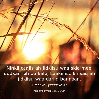 Picture 03 - Maahmaahyadii 15:19 SOM - Ninkii caajis ah jidkiisu waa sida meel qodxan - Bible Verse Picture