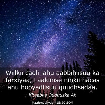 Picture 03 - Maahmaahyadii 15:20 SOM - Wiilkii caqli lahu aabbihiisuu ka farxiyaa, - Bible Verse Picture