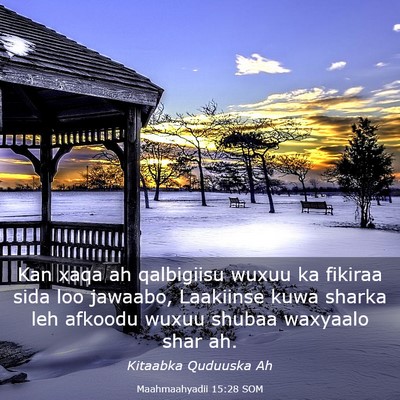 Picture 03 - Maahmaahyadii 15:28 SOM - Kan xaqa ah qalbigiisu wuxuu ka fikiraa sida loo - Bible Verse Picture