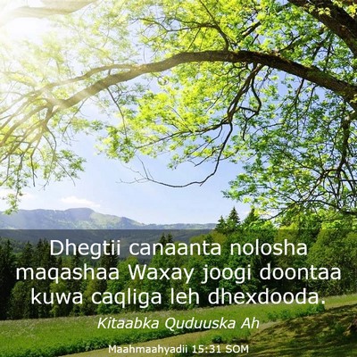 Picture 03 - Maahmaahyadii 15:31 SOM - Dhegtii canaanta nolosha maqashaa Waxay joogi - Bible Verse Picture