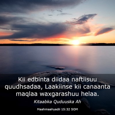 Picture 03 - Maahmaahyadii 15:32 SOM - Kii edbinta diidaa naftiisuu quudhsadaa, - Bible Verse Picture