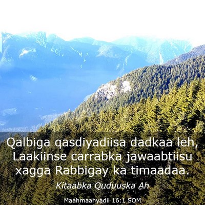 Picture 03 - Maahmaahyadii 16:1 SOM - Qalbiga qasdiyadiisa dadkaa leh, Laakiinse - Bible Verse Picture