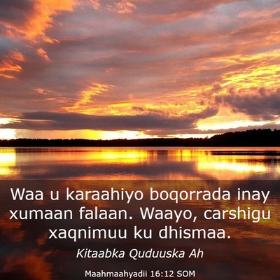Picture 03 - Maahmaahyadii 16:12 SOM - Waa u karaahiyo boqorrada inay xumaan falaan. - Bible Verse Picture
