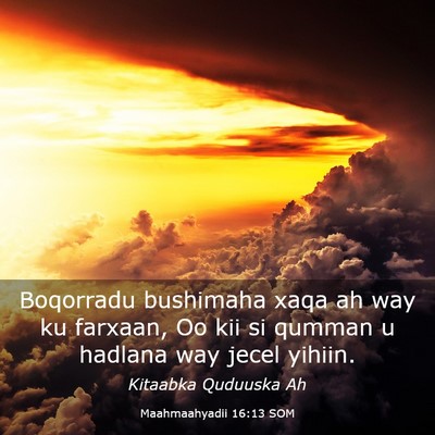 Picture 03 - Maahmaahyadii 16:13 SOM - Boqorradu bushimaha xaqa ah way ku farxaan, Oo - Bible Verse Picture