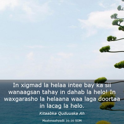 Picture 03 - Maahmaahyadii 16:16 SOM - In xigmad la helaa intee bay ka sii wanaagsan - Bible Verse Picture