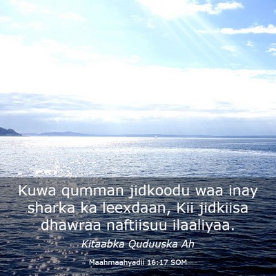 Picture 03 - Maahmaahyadii 16:17 SOM - Kuwa qumman jidkoodu waa inay sharka ka leexdaan, - Bible Verse Picture