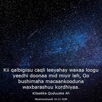 Picture 03 - Maahmaahyadii 16:21 SOM - Kii qalbigiisu caqli leeyahay waxaa loogu yeedhi - Bible Verse Picture