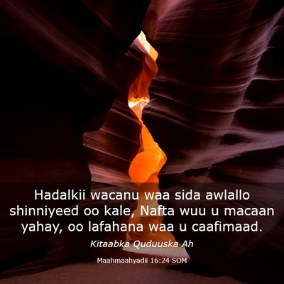 Picture 03 - Maahmaahyadii 16:24 SOM - Hadalkii wacanu waa sida awlallo shinniyeed oo - Bible Verse Picture