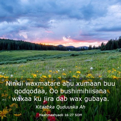 Picture 03 - Maahmaahyadii 16:27 SOM - Ninkii waxmatare ahu xumaan buu qodqodaa, Oo - Bible Verse Picture