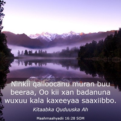 Picture 03 - Maahmaahyadii 16:28 SOM - Ninkii qalloocanu muran buu beeraa, Oo kii xan - Bible Verse Picture