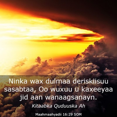 Picture 03 - Maahmaahyadii 16:29 SOM - Ninka wax dulmaa deriskiisuu sasabtaa, Oo wuxuu u - Bible Verse Picture
