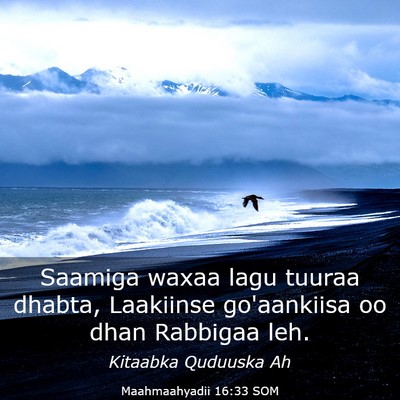 Picture 03 - Maahmaahyadii 16:33 SOM - Saamiga waxaa lagu tuuraa dhabta, Laakiinse - Bible Verse Picture