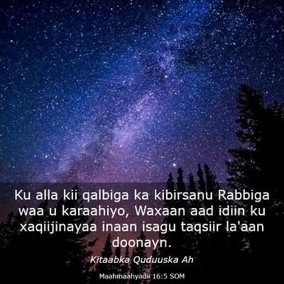 Picture 03 - Maahmaahyadii 16:5 SOM - Ku alla kii qalbiga ka kibirsanu Rabbiga waa u - Bible Verse Picture