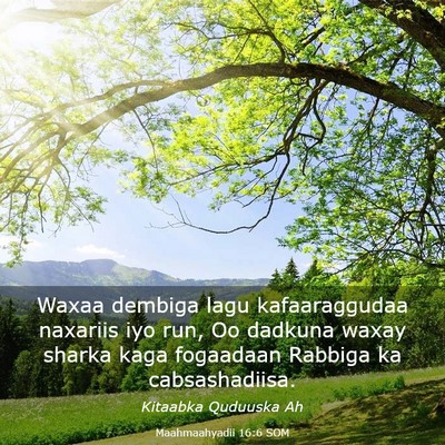 Picture 03 - Maahmaahyadii 16:6 SOM - Waxaa dembiga lagu kafaaraggudaa naxariis iyo - Bible Verse Picture