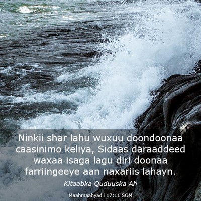 Picture 03 - Maahmaahyadii 17:11 SOM - Ninkii shar lahu wuxuu doondoonaa caasinimo - Bible Verse Picture