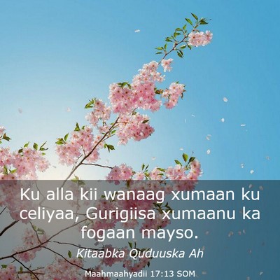 Picture 03 - Maahmaahyadii 17:13 SOM - Ku alla kii wanaag xumaan ku celiyaa, Gurigiisa - Bible Verse Picture