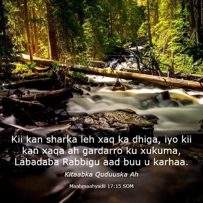 Picture 03 - Maahmaahyadii 17:15 SOM - Kii kan sharka leh xaq ka dhiga, iyo kii kan xaqa - Bible Verse Picture