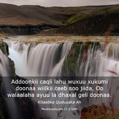 Picture 03 - Maahmaahyadii 17:2 SOM - Addoonkii caqli lahu wuxuu xukumi doonaa wiilkii - Bible Verse Picture