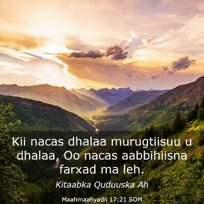Picture 03 - Maahmaahyadii 17:21 SOM - Kii nacas dhalaa murugtiisuu u dhalaa, Oo nacas - Bible Verse Picture