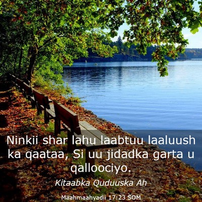 Picture 03 - Maahmaahyadii 17:23 SOM - Ninkii shar lahu laabtuu laaluush ka qaataa, Si - Bible Verse Picture