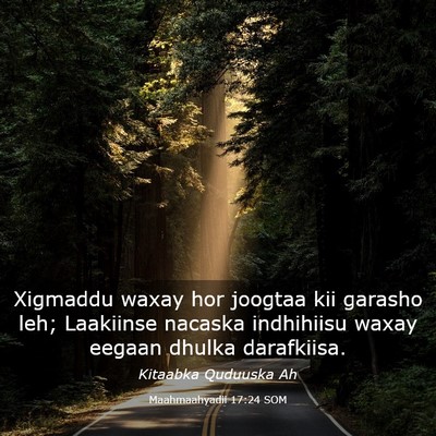 Picture 03 - Maahmaahyadii 17:24 SOM - Xigmaddu waxay hor joogtaa kii garasho leh; - Bible Verse Picture