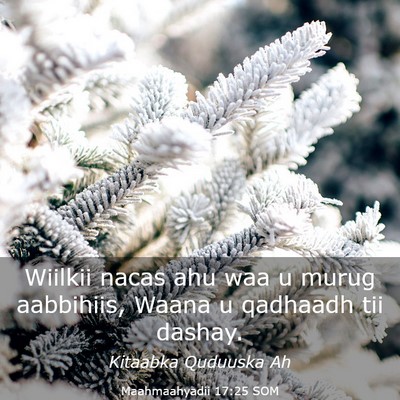 Picture 03 - Maahmaahyadii 17:25 SOM - Wiilkii nacas ahu waa u murug aabbihiis, Waana u - Bible Verse Picture