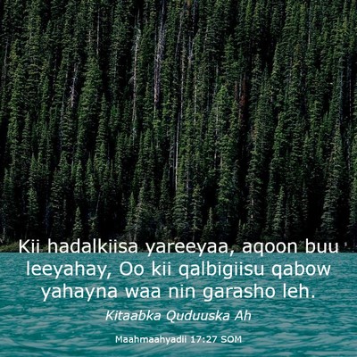 Picture 03 - Maahmaahyadii 17:27 SOM - Kii hadalkiisa yareeyaa, aqoon buu leeyahay, Oo - Bible Verse Picture