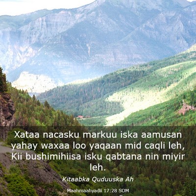 Picture 03 - Maahmaahyadii 17:28 SOM - Xataa nacasku markuu iska aamusan yahay waxaa loo - Bible Verse Picture