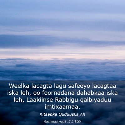 Picture 03 - Maahmaahyadii 17:3 SOM - Weelka lacagta lagu safeeyo lacagtaa iska leh, oo - Bible Verse Picture