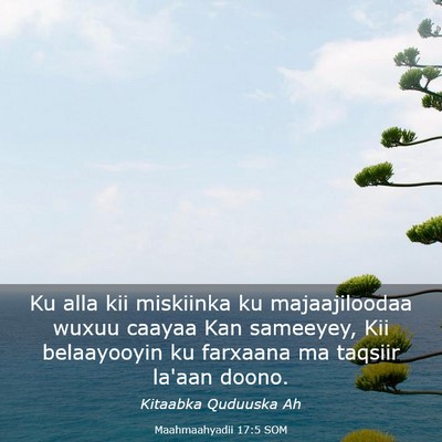 Picture 03 - Maahmaahyadii 17:5 SOM - Ku alla kii miskiinka ku majaajiloodaa wuxuu - Bible Verse Picture