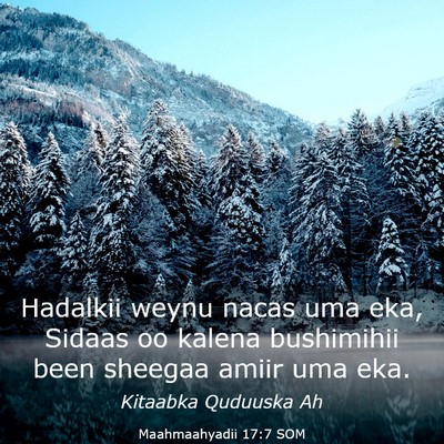 Picture 03 - Maahmaahyadii 17:7 SOM - Hadalkii weynu nacas uma eka, Sidaas oo kalena - Bible Verse Picture