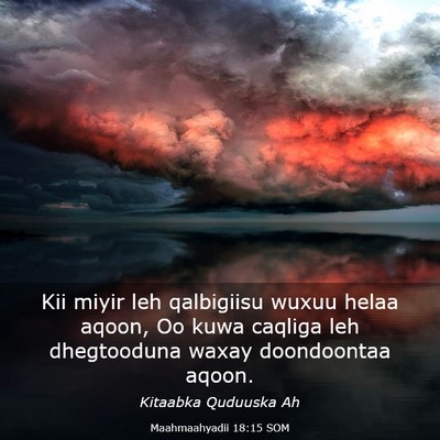 Picture 03 - Maahmaahyadii 18:15 SOM - Kii miyir leh qalbigiisu wuxuu helaa aqoon, Oo - Bible Verse Picture