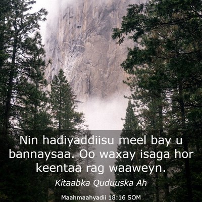 Picture 03 - Maahmaahyadii 18:16 SOM - Nin hadiyaddiisu meel bay u bannaysaa. Oo waxay - Bible Verse Picture