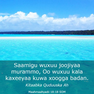 Picture 03 - Maahmaahyadii 18:18 SOM - Saamigu wuxuu joojiyaa murammo, Oo wuxuu kala - Bible Verse Picture