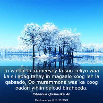 Picture 03 - Maahmaahyadii 18:19 SOM - In walaal la xumeeyey la soo celiyo waa ka sii - Bible Verse Picture