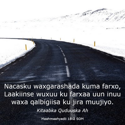 Picture 03 - Maahmaahyadii 18:2 SOM - Nacasku waxgarashada kuma farxo, Laakiinse wuxuu - Bible Verse Picture