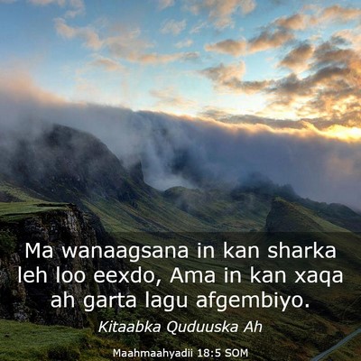 Picture 03 - Maahmaahyadii 18:5 SOM - Ma wanaagsana in kan sharka leh loo eexdo, Ama in - Bible Verse Picture