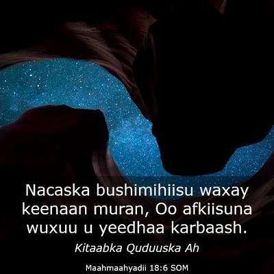 Picture 03 - Maahmaahyadii 18:6 SOM - Nacaska bushimihiisu waxay keenaan muran, Oo - Bible Verse Picture