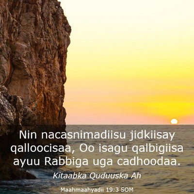 Picture 03 - Maahmaahyadii 19:3 SOM - Nin nacasnimadiisu jidkiisay qalloocisaa, Oo - Bible Verse Picture