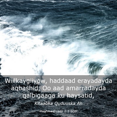 Picture 03 - Maahmaahyadii 2:1 SOM - Wiilkaygiiyow, haddaad erayadayda aqbashid, Oo - Bible Verse Picture