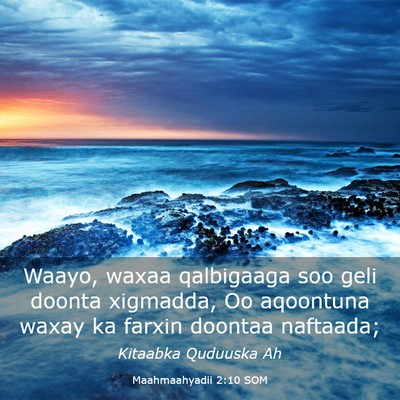 Picture 03 - Maahmaahyadii 2:10 SOM - Waayo, waxaa qalbigaaga soo geli doonta xigmadda, - Bible Verse Picture