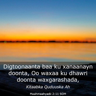 Picture 03 - Maahmaahyadii 2:11 SOM - Digtoonaanta baa ku xanaanayn doonta, Oo waxaa ku - Bible Verse Picture