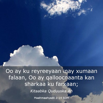 Picture 03 - Maahmaahyadii 2:14 SOM - Oo ay ku reyreeyaan inay xumaan falaan, Oo ay - Bible Verse Picture