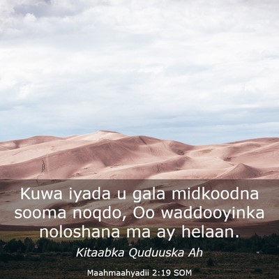 Picture 03 - Maahmaahyadii 2:19 SOM - Kuwa iyada u gala midkoodna sooma noqdo, Oo - Bible Verse Picture