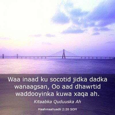 Picture 03 - Maahmaahyadii 2:20 SOM - Waa inaad ku socotid jidka dadka wanaagsan, Oo - Bible Verse Picture