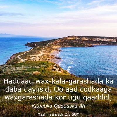 Picture 03 - Maahmaahyadii 2:3 SOM - Haddaad wax-kala-garashada ka daba qaylisid, Oo - Bible Verse Picture