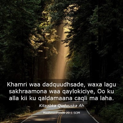 Picture 03 - Maahmaahyadii 20:1 SOM - Khamri waa dadquudhsade, waxa lagu sakhraamona - Bible Verse Picture